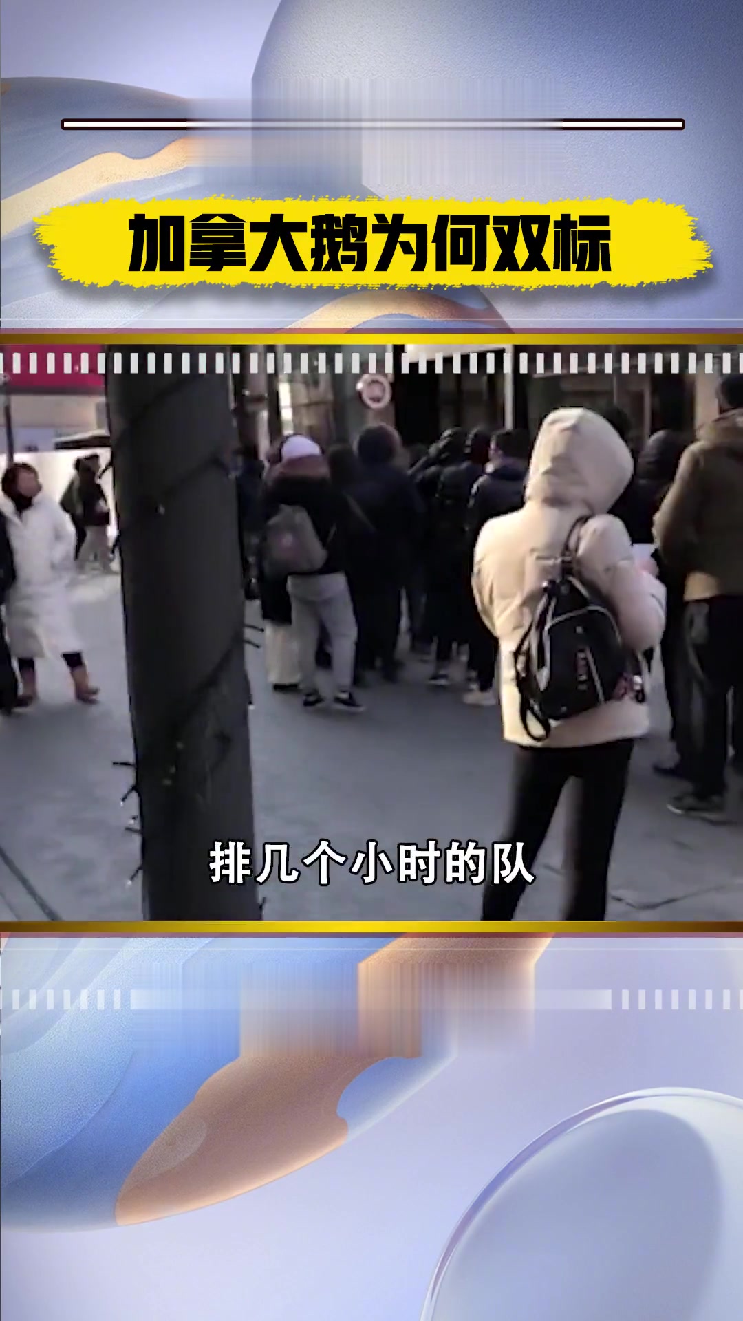 加拿大鹅“地域双标”,背后傲气来源于哪?
