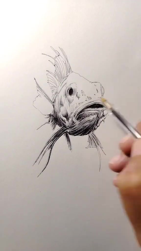 用圆珠笔画一条鱼