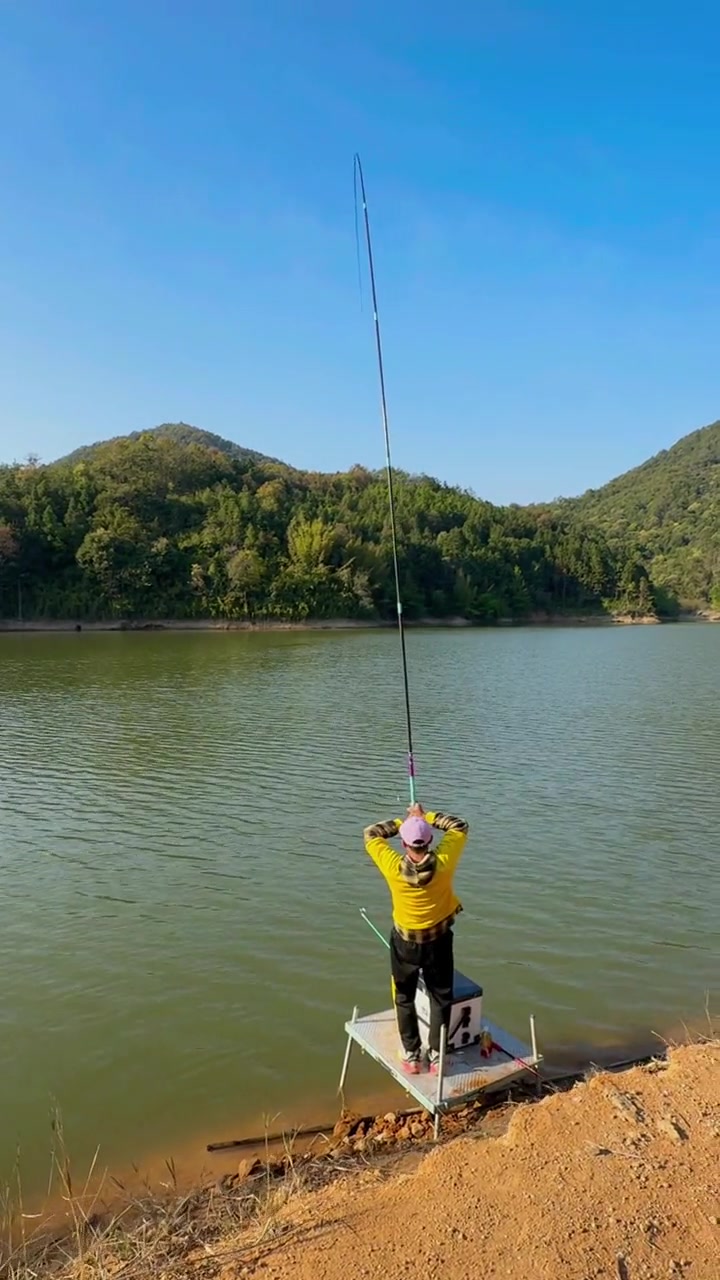 水库居然青鱼打连发,太不可思议了