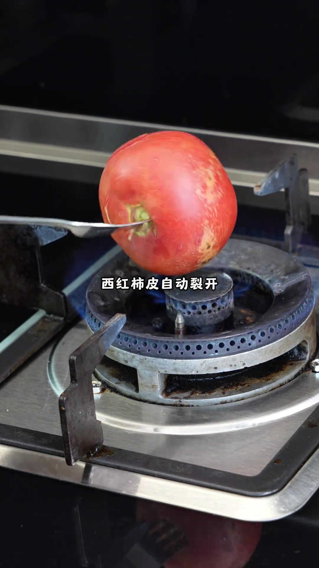 今天给工地师傅做了蒸面条，辣子鸡，番茄紫菜汤