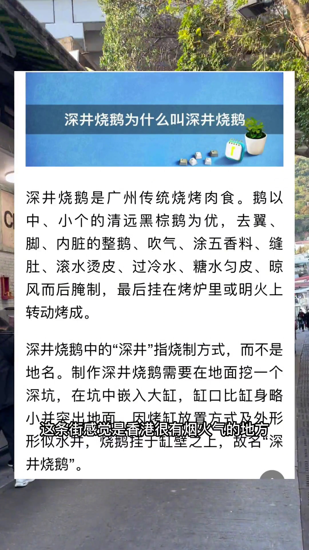 香港不可错过的深井烧鹅