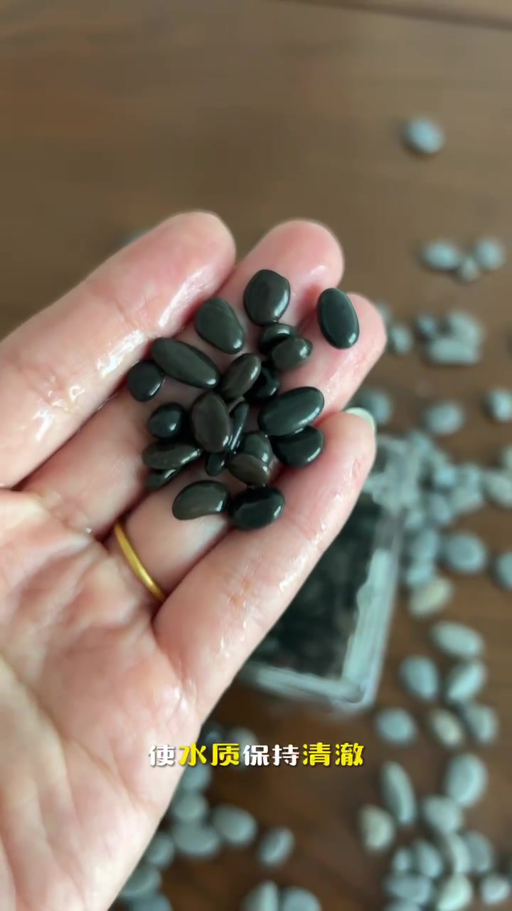 铁胆沙 鱼缸底砂造景