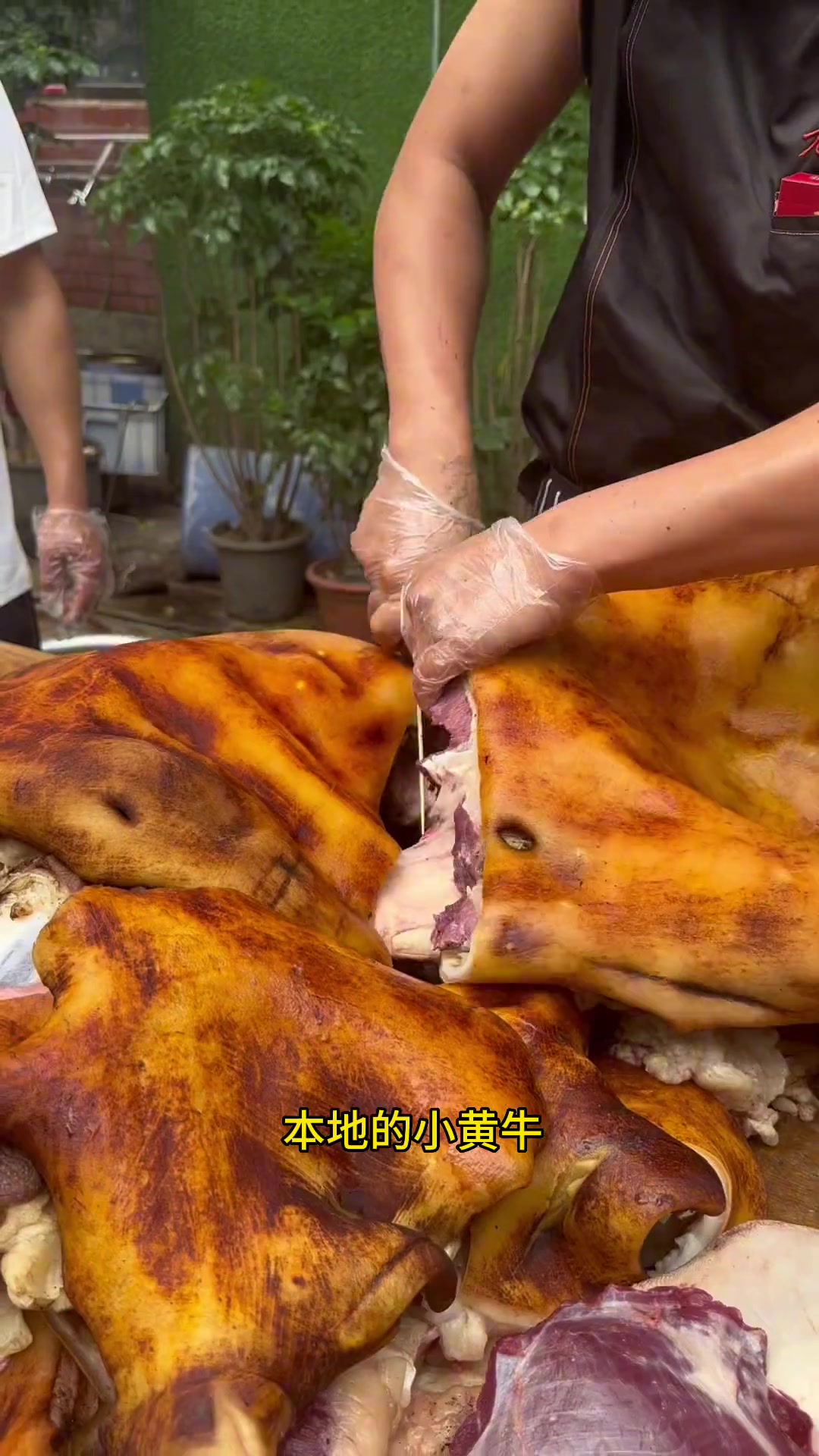 如果你来元阳,一定要去南沙的老卜拉牛肉饭店吃上一顿美美的牛汤锅,实在是太好吃了