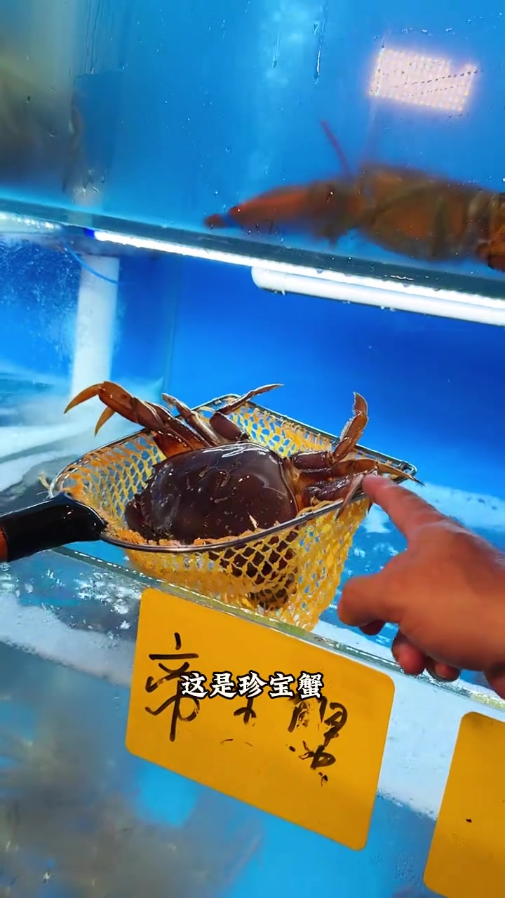 在花木找到一家平价海鲜馆,点了一大桌不到600,有波龙、对虾、面包蟹、生蚝、皮皮虾等等,一