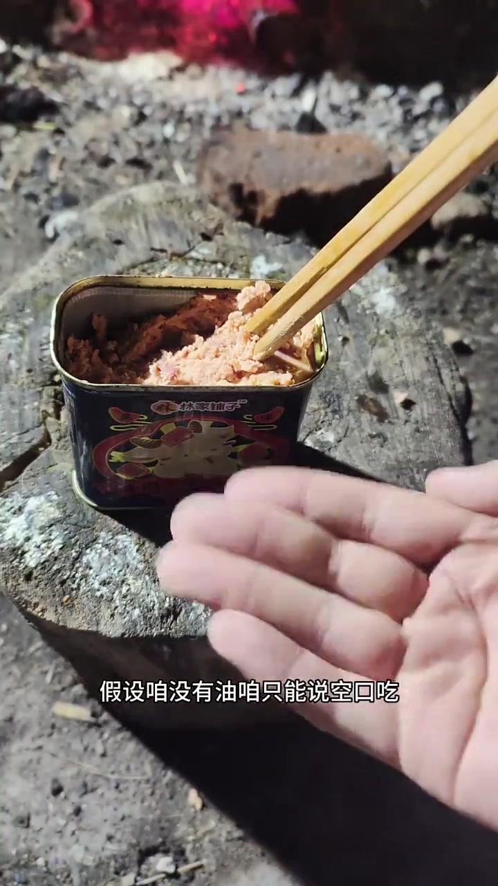 末日游戏的常客,午餐肉罐头