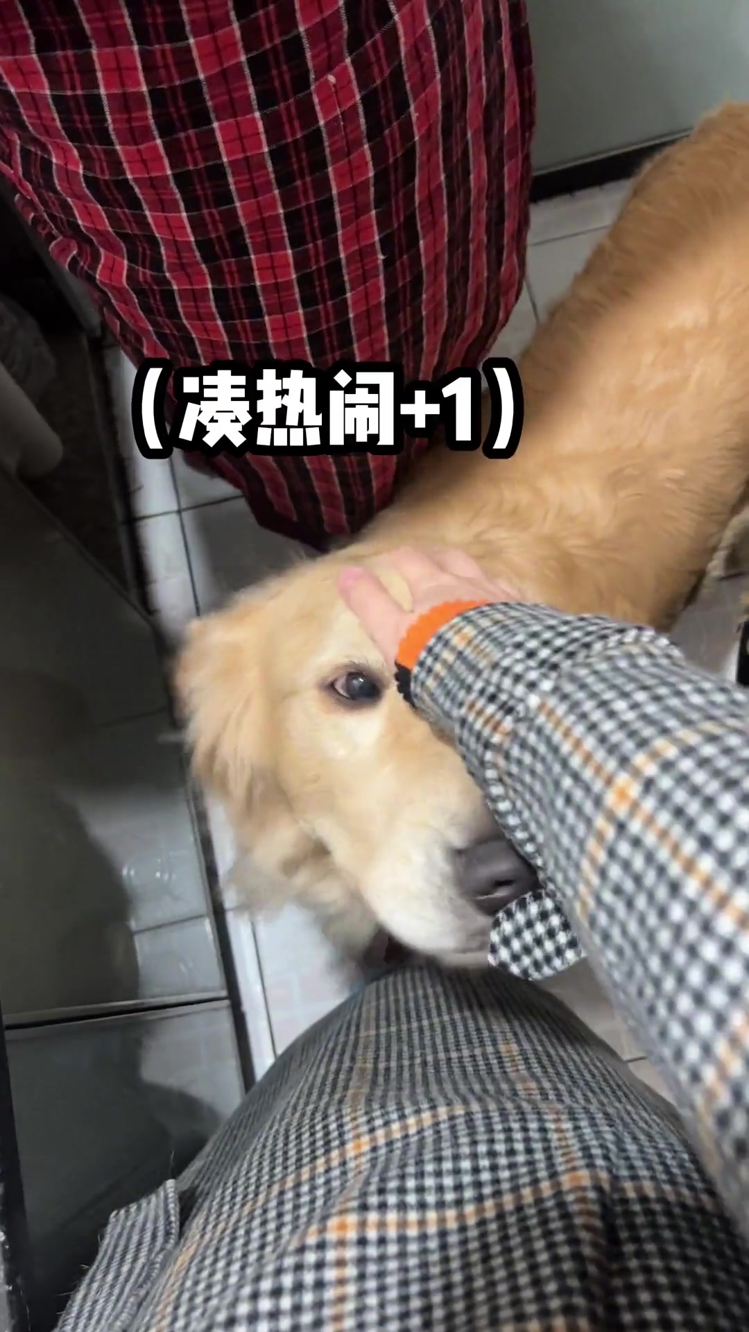 湖南永州名菜血鸭,色香独树一帜,家乡与之有些相似