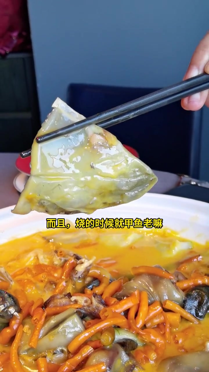 黄贡椒金地甲鱼，三年老甲慢炖，还有糯米丝瓜！