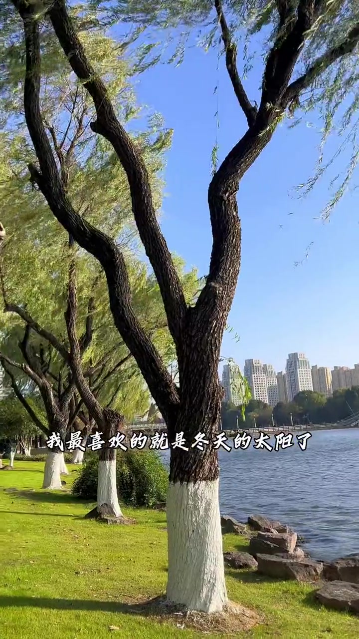 绿力只要继续出,我就还能再喝二十年!