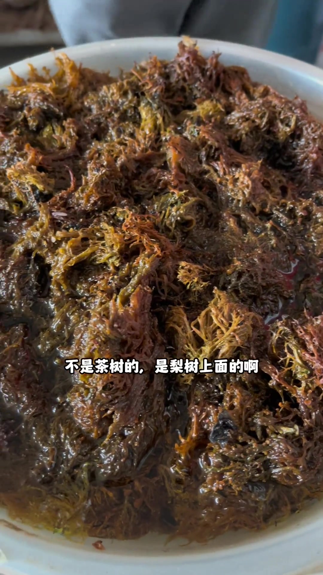 带大家去品尝云南特色美食埃及塘鲺