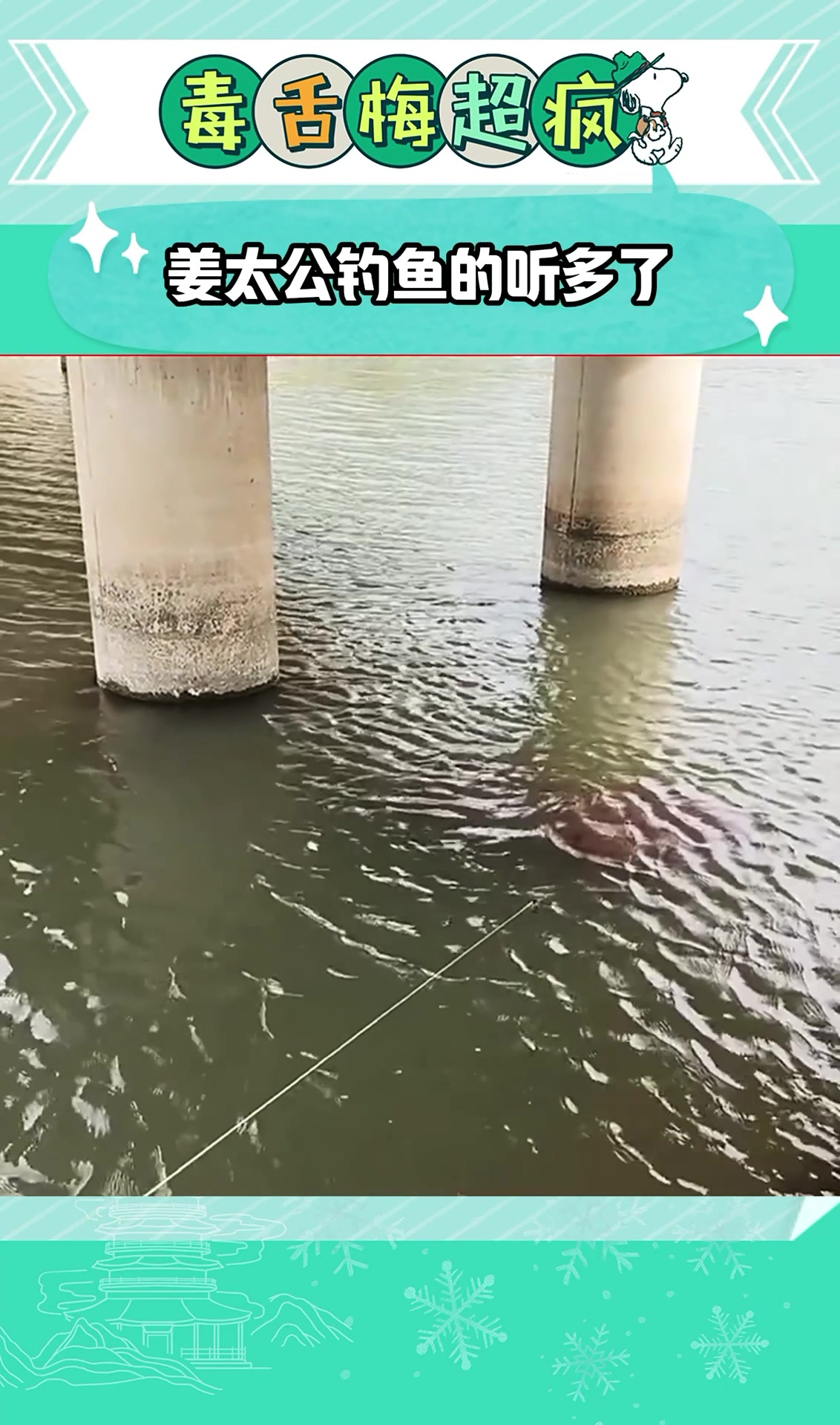 姜太公钓鱼的听多了，钓太公还是头一次见