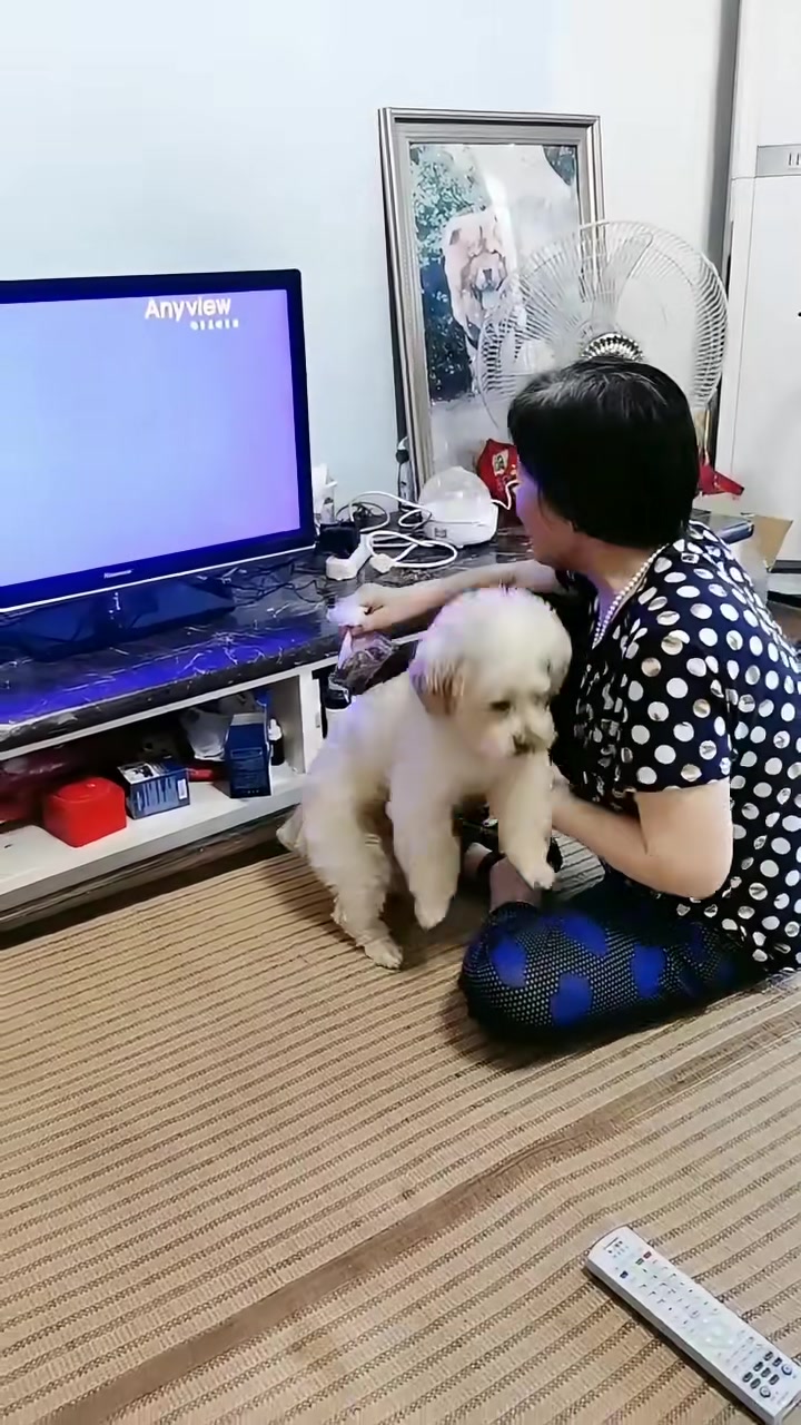 天啊!这狗狗简直成精了!