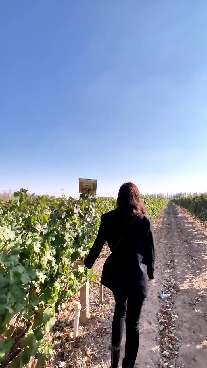 葡萄美酒夜光杯