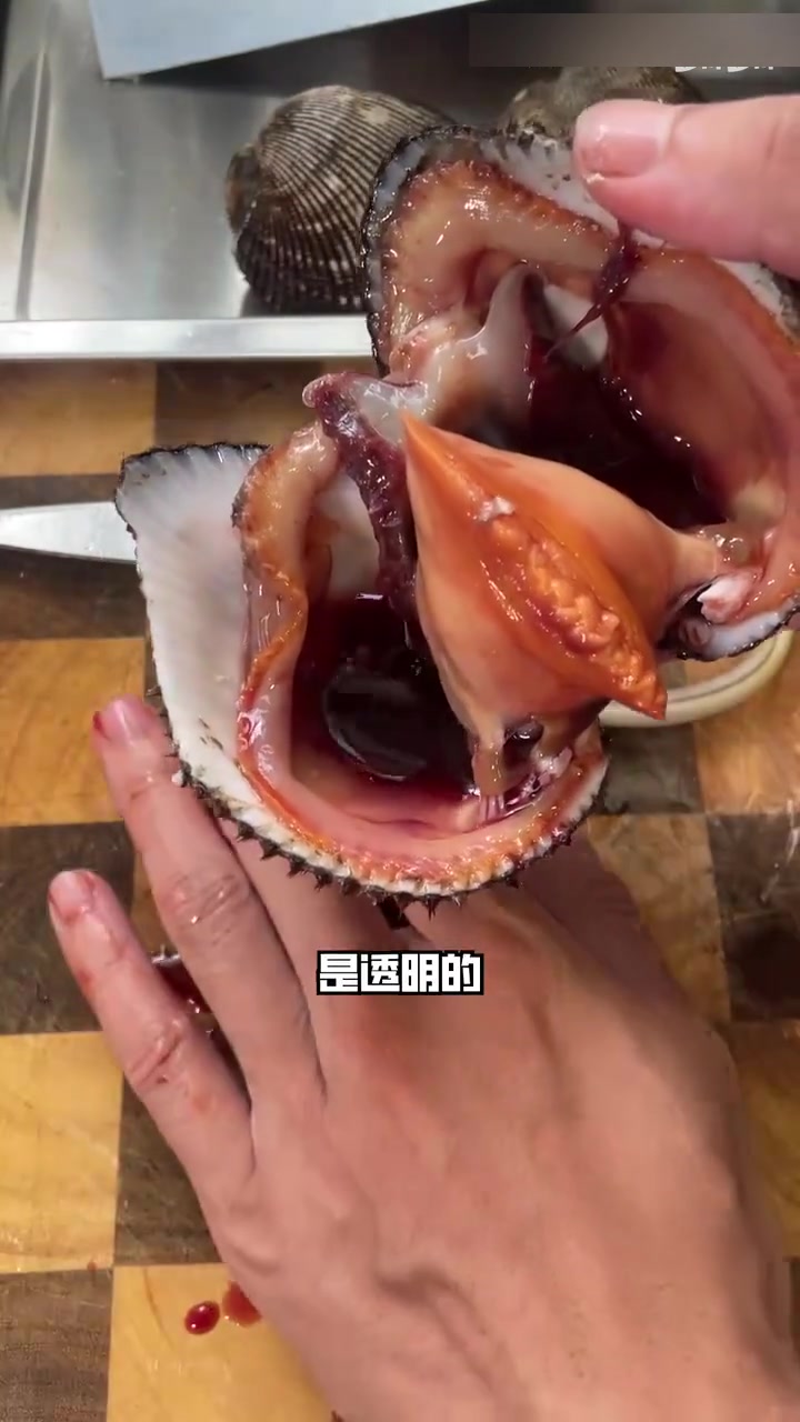 在日本贵贵的赤贝刺身,其实在国内很平价
