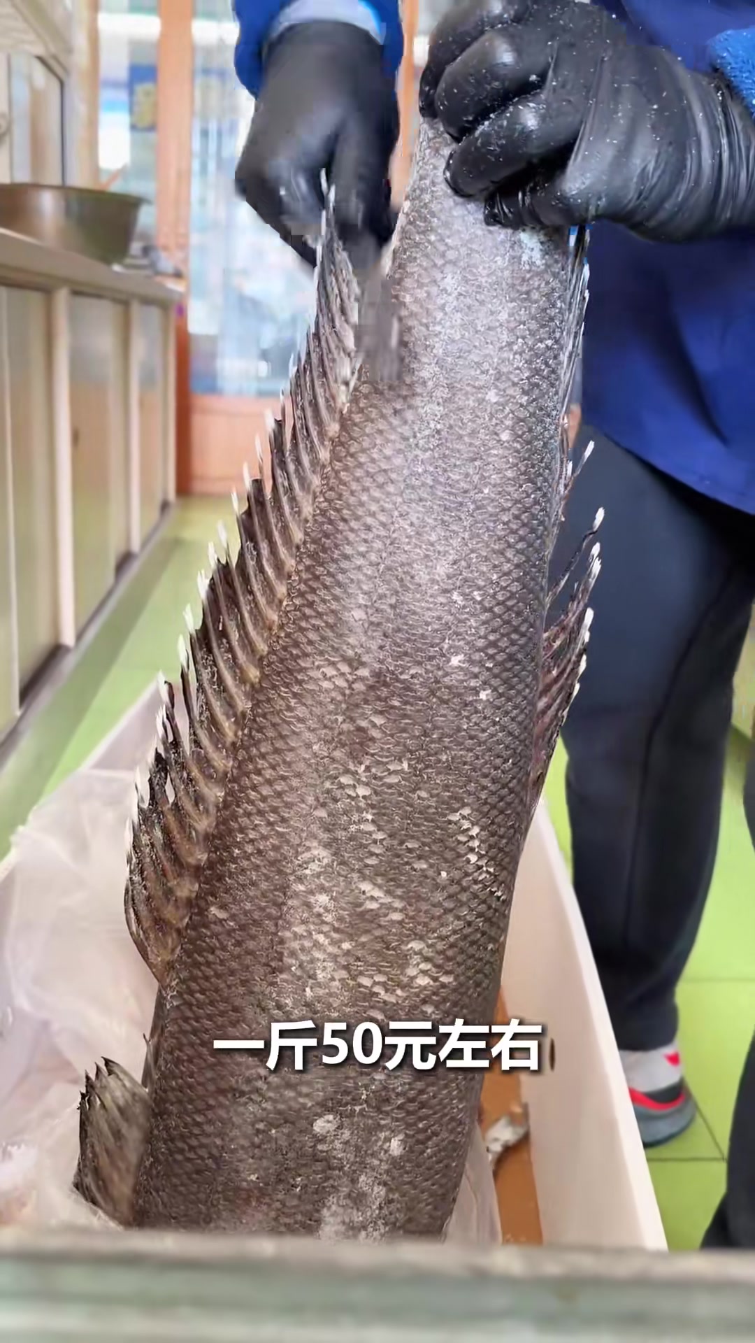 科普分享21种鱼和价格,你当地都什么价格呢