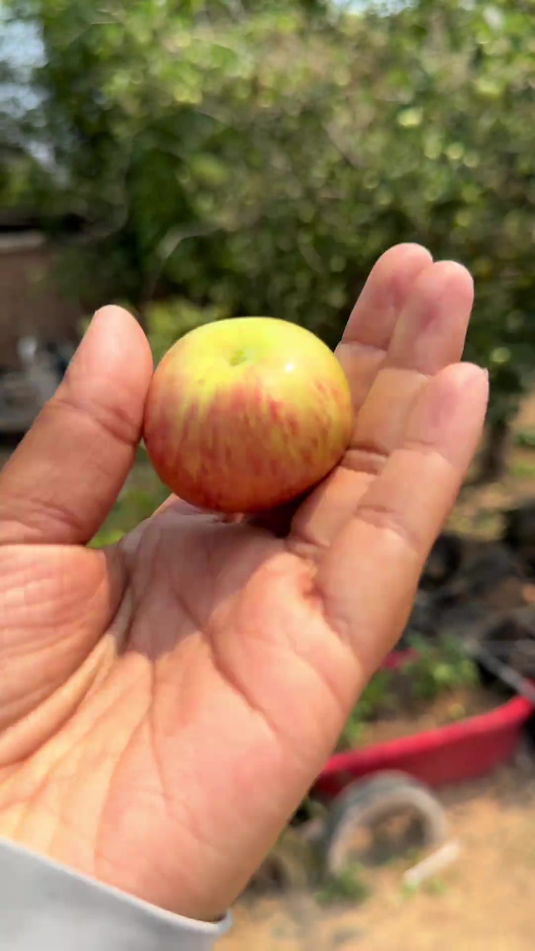 属于安徽的特色美食，面筋汤