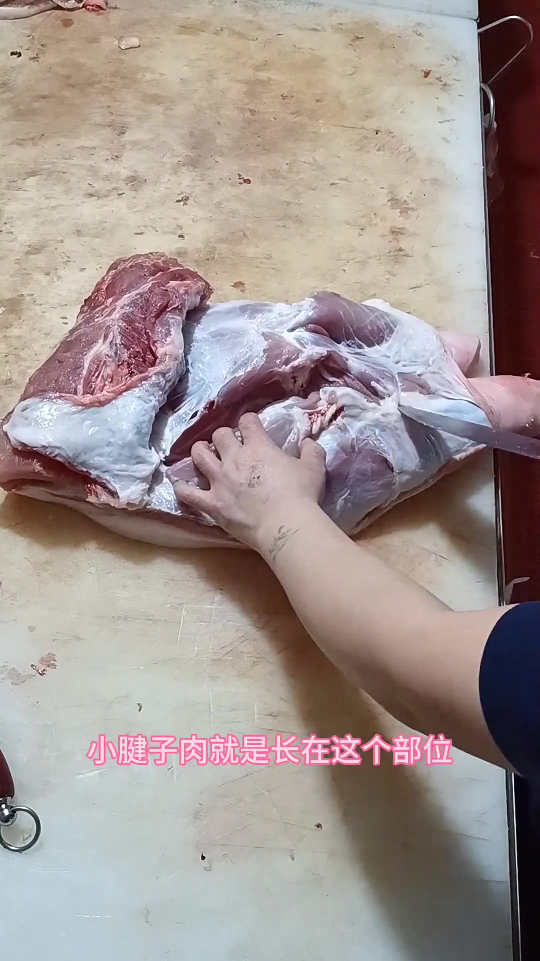 前腿肉分割教程,记得清理固定淋巴哦!