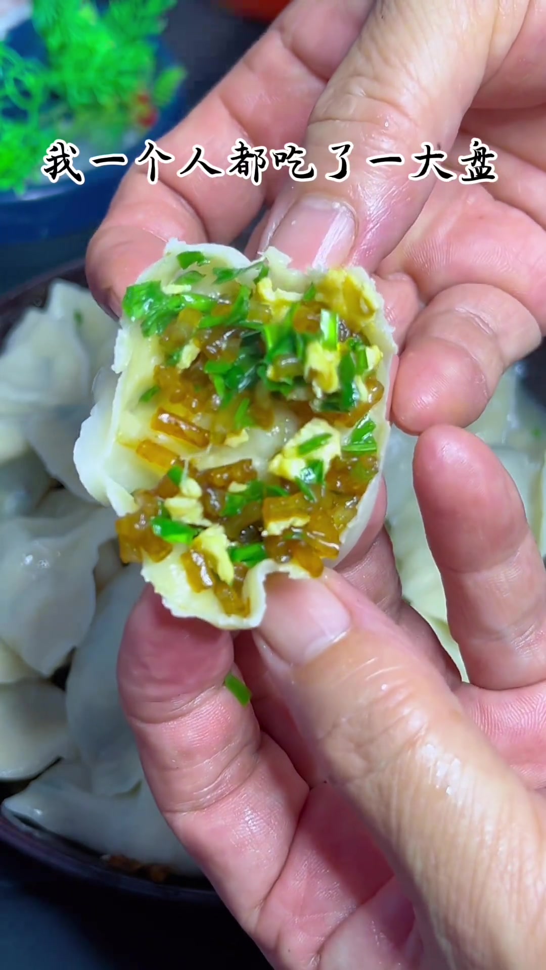 鸡蛋韭菜粉条馅饺子，素饺子中的天花板，我一个人都能吃一大盘子