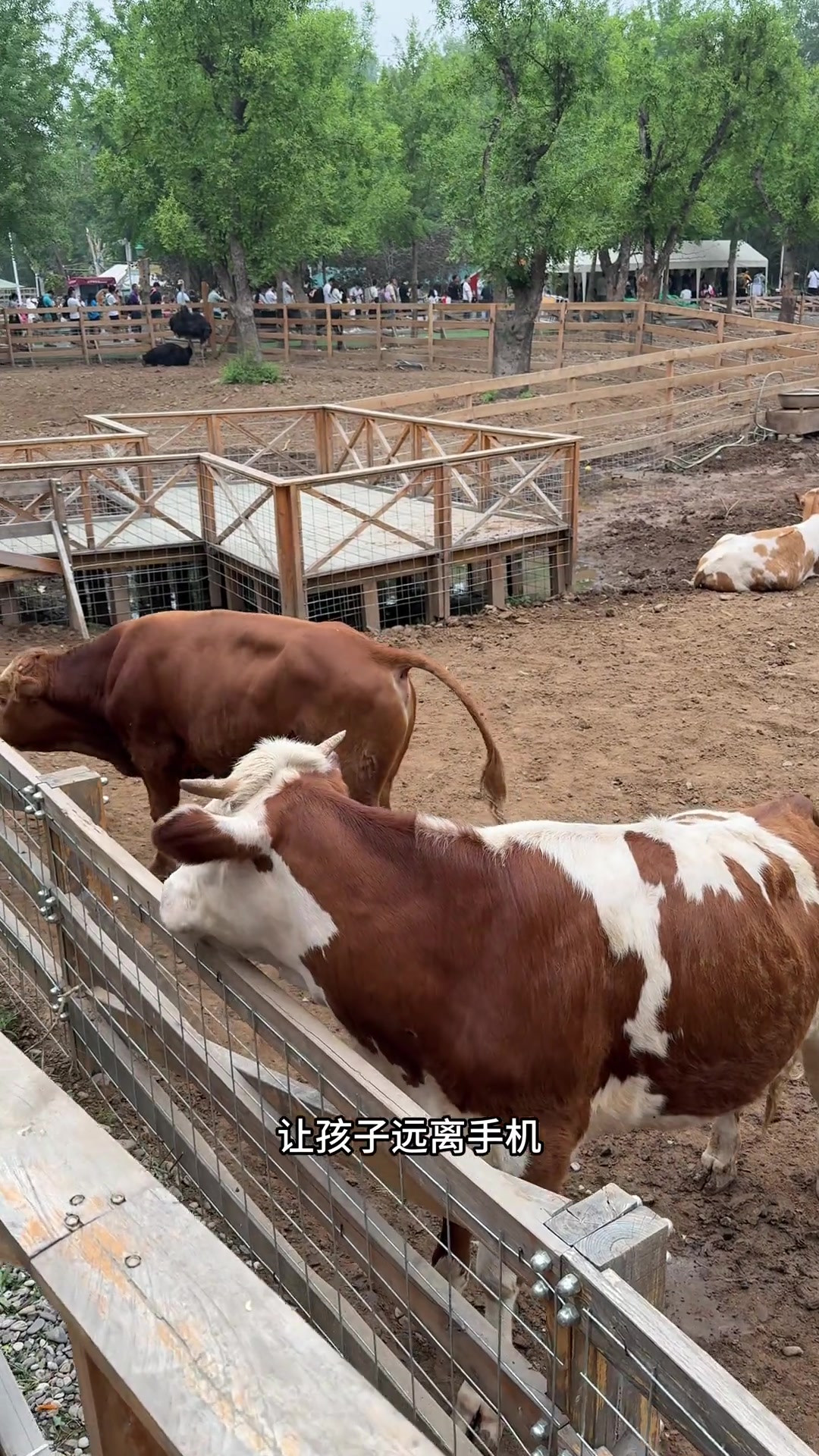 北京本地二胎家庭一家四口过周末儿童节+请客10大3小吃涮羊肉的一天得花多少钱？