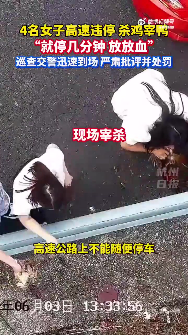离谱！女子怕浪费家人心意高速停车杀鸡宰鸭