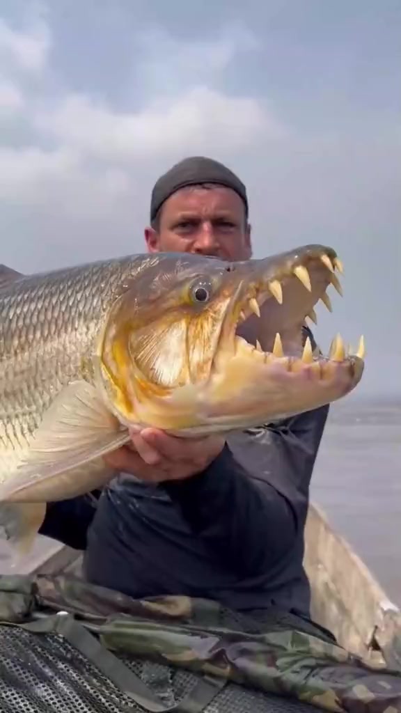 这是什么鱼？带你涨知识