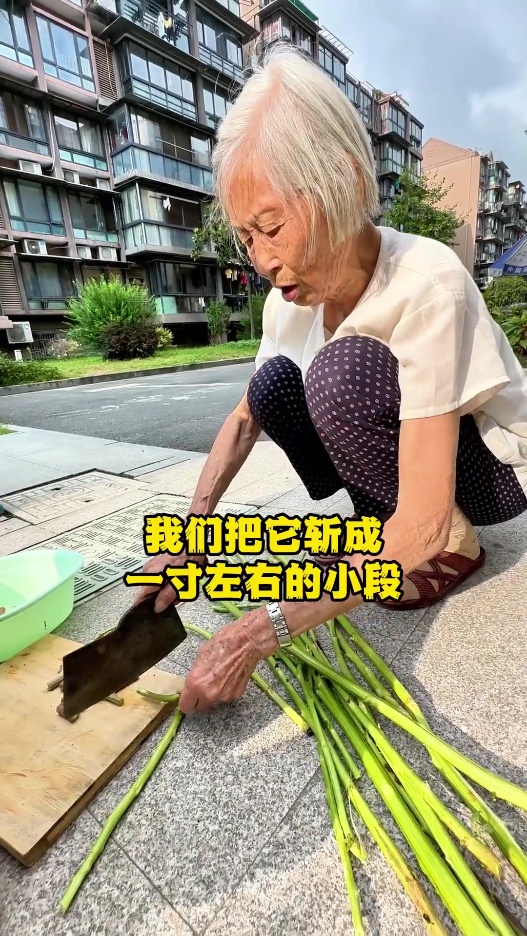 一条视频教你在家做出又臭又香的霉苋菜梗！