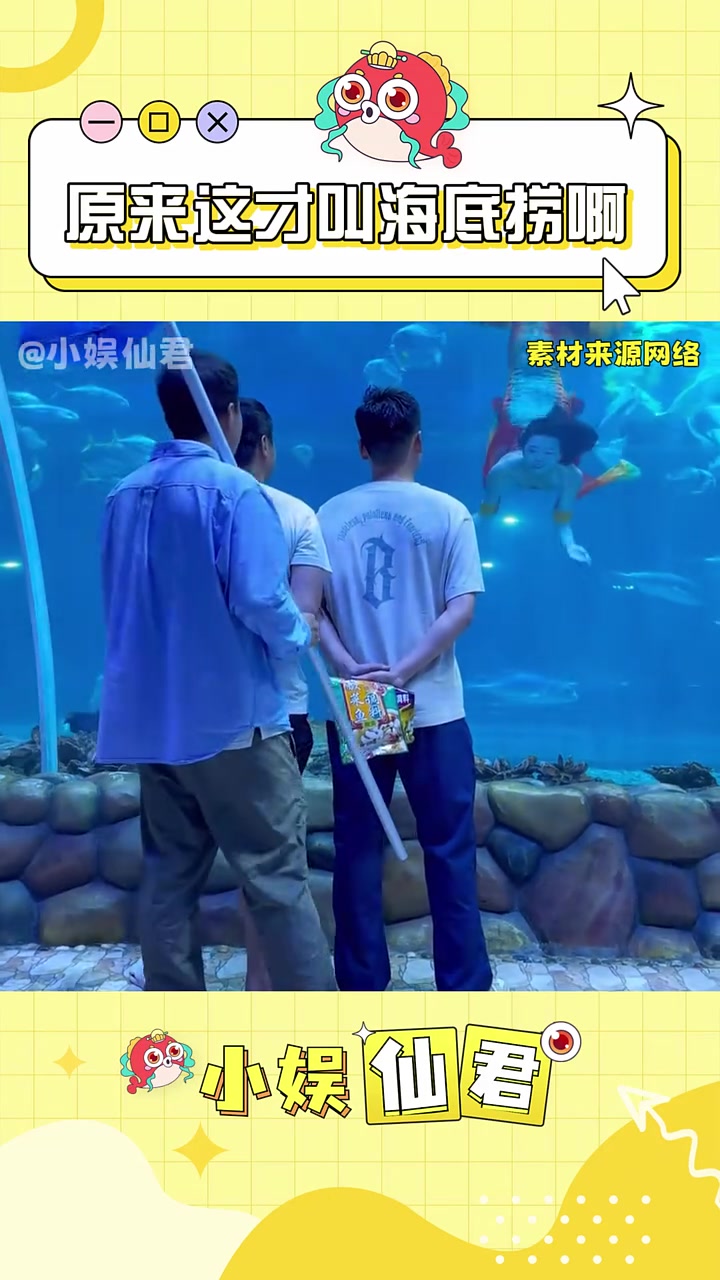 大哥这里是海底世界 不是海底捞!