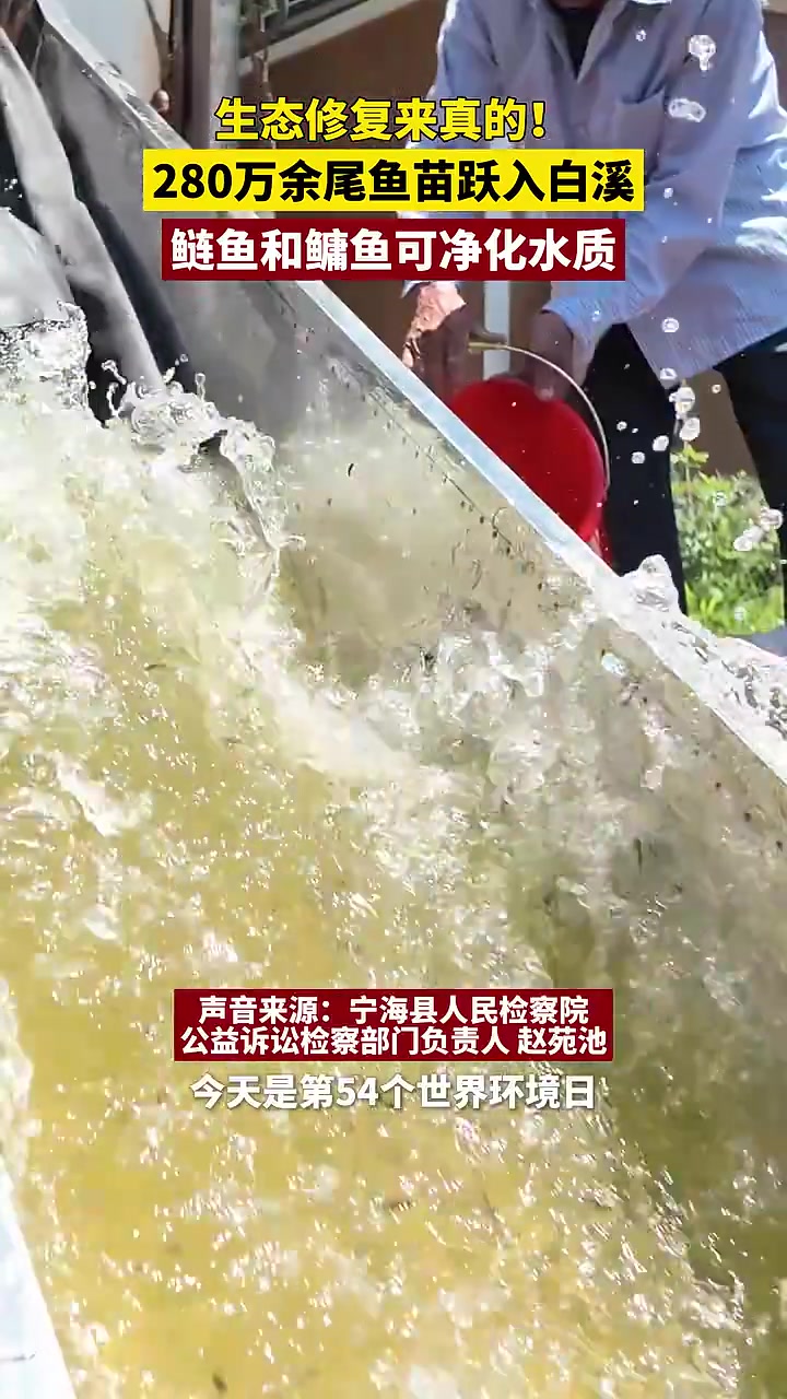 世界环境日 280万余尾鱼苗放生