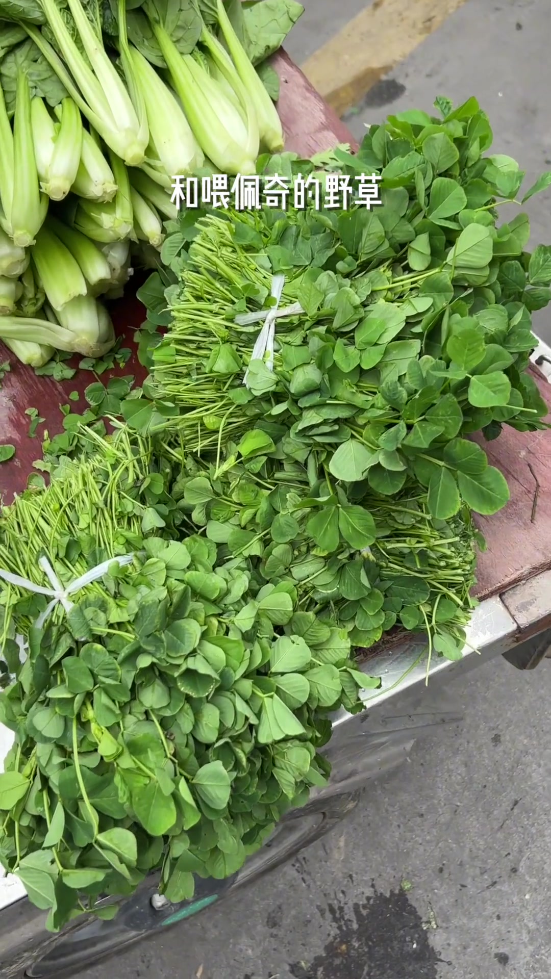 浙江有穷地,人们吃草炒年糕,记得多请浙友吃饭