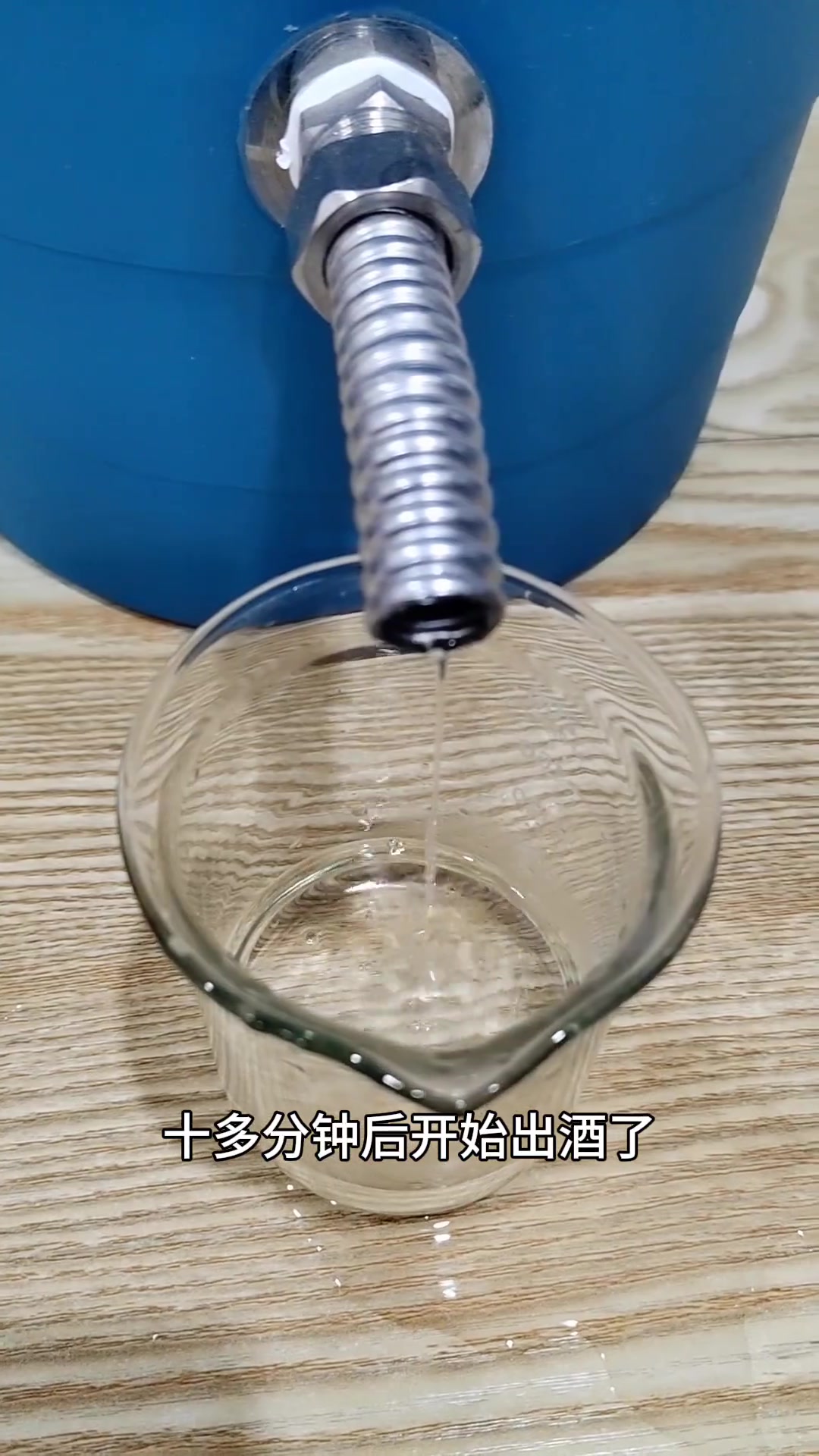 在家自酿一款干红葡萄酒和一款真正的白兰地。并把过程分享给大家！
