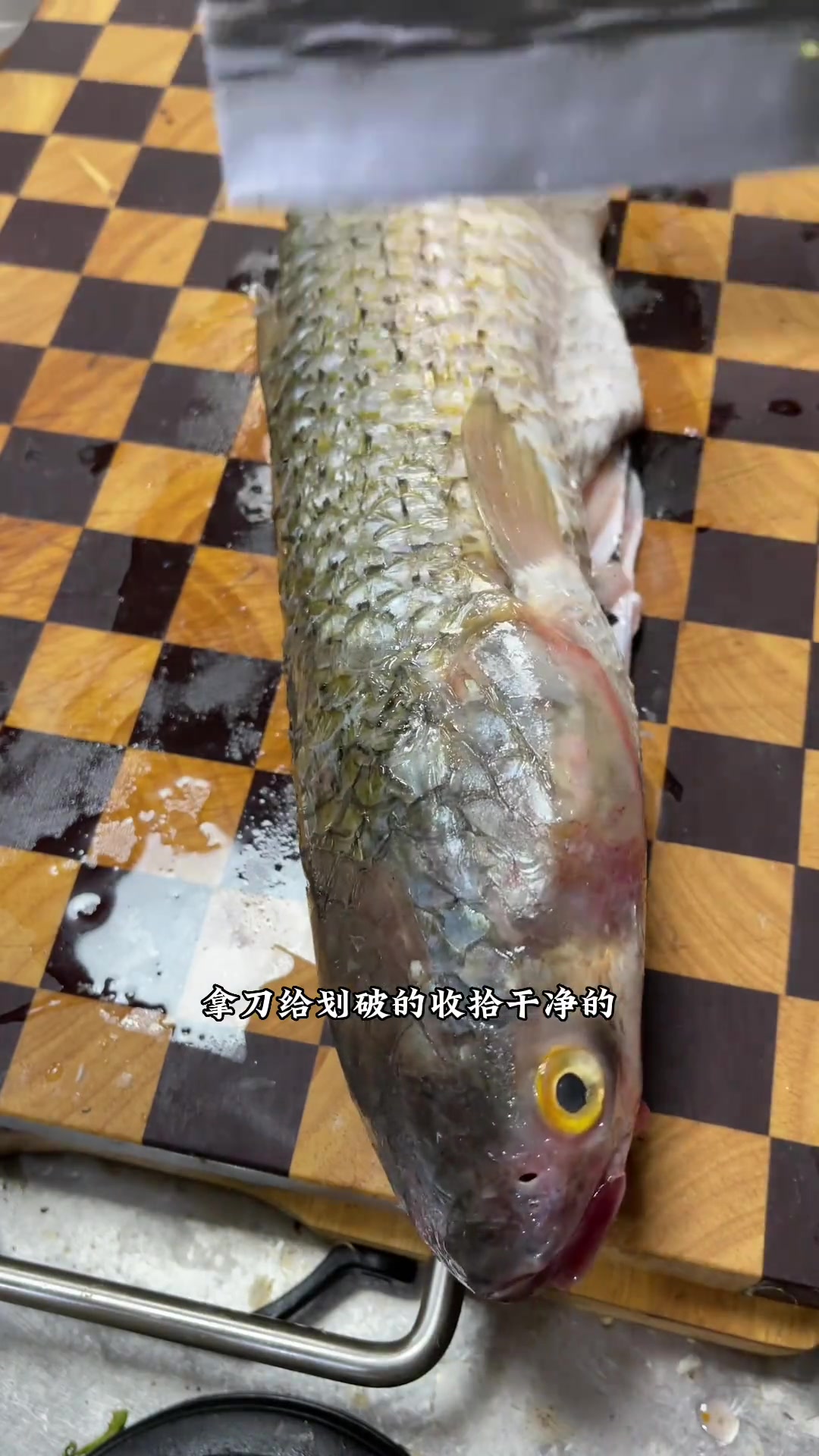 如何烹饪梭鱼才能去除泥腥味