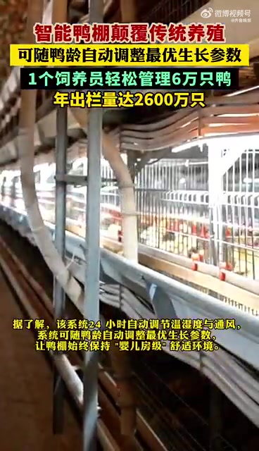 在临沂沂南县某现代化智能鸭棚里，近6万只樱桃谷白羽鸭享受着 “科技呵护”。智能化环控系统作