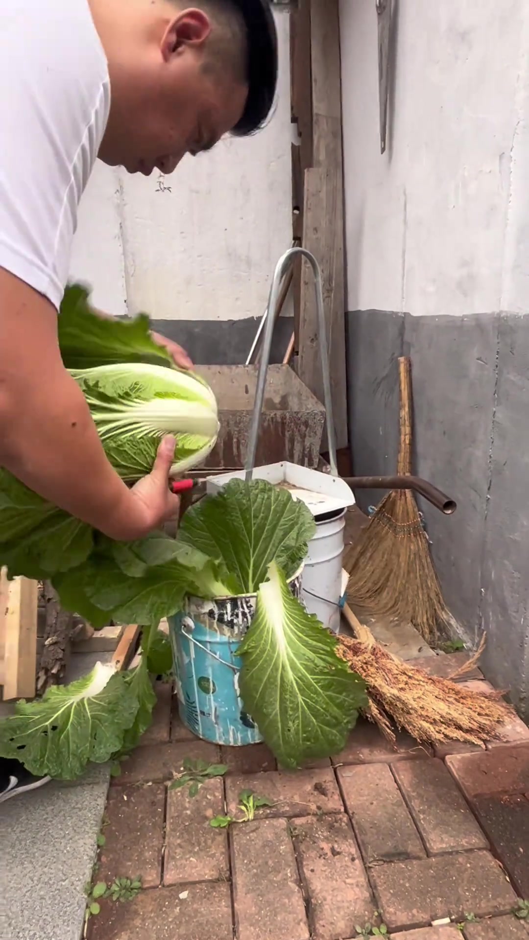 小院生活,铁锅炖牛排,宴请想蹭饭的朋友