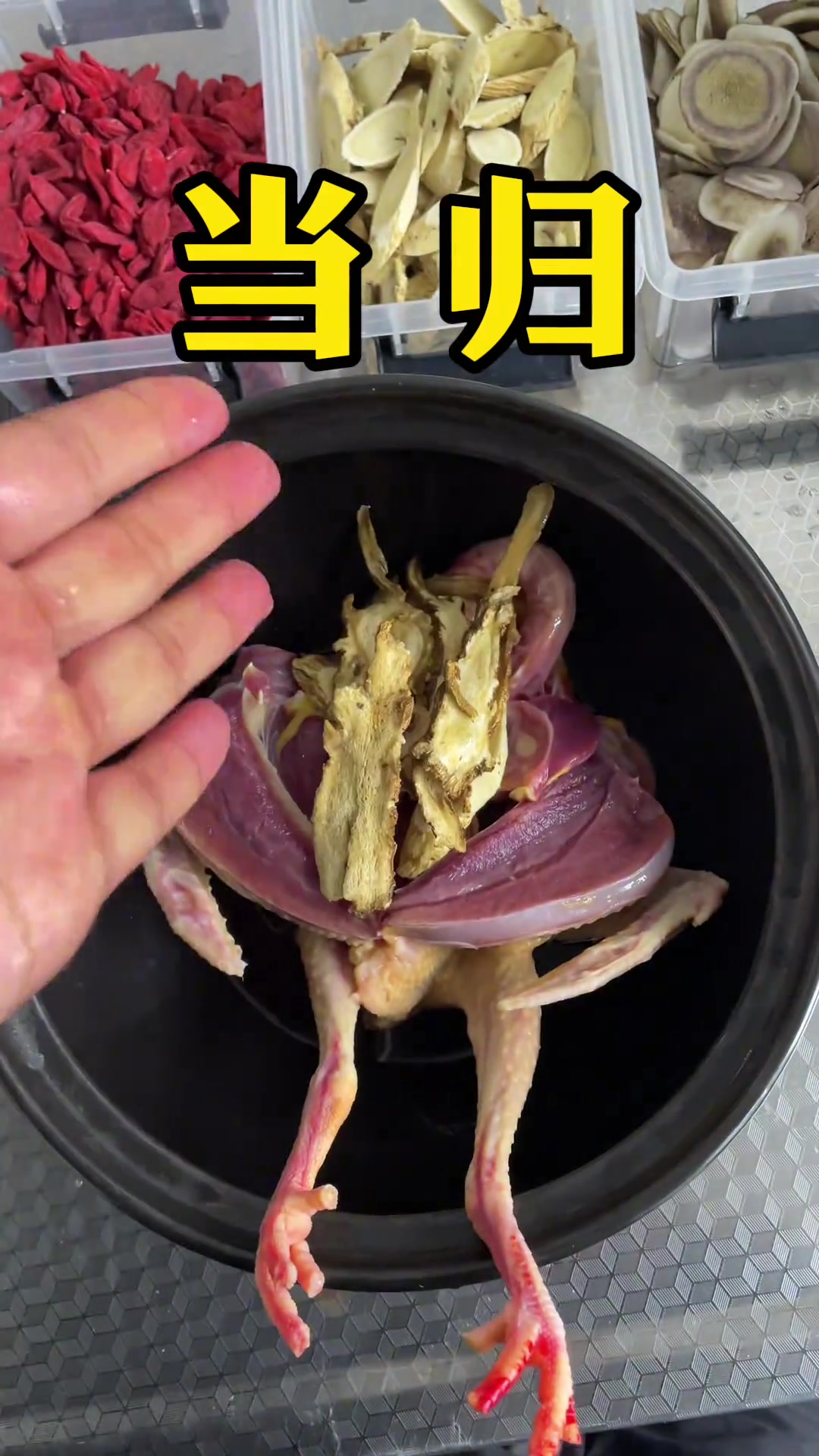 鸽子黄芪党参汤