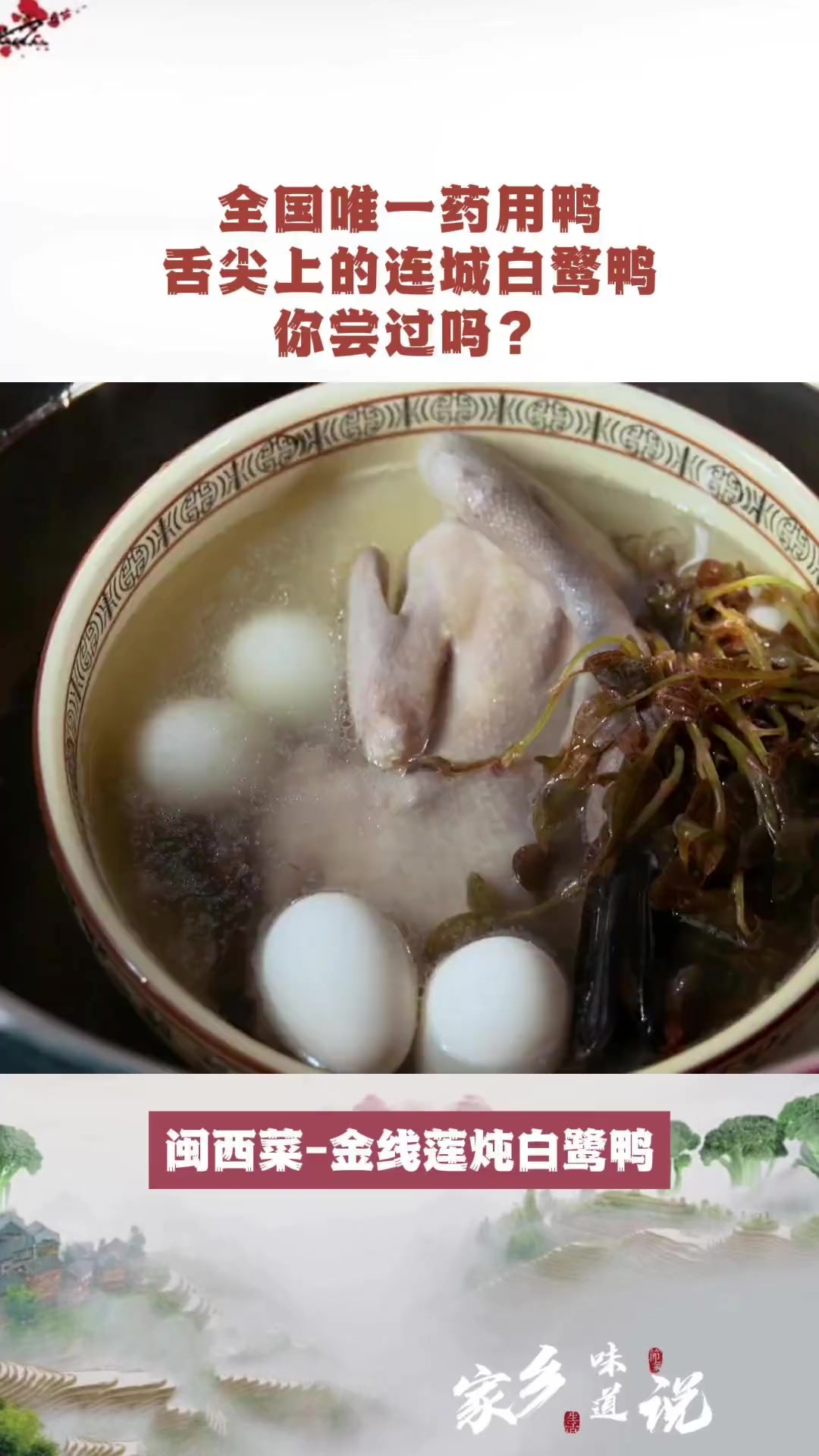 全国唯一的药用鸭，你尝过吗？