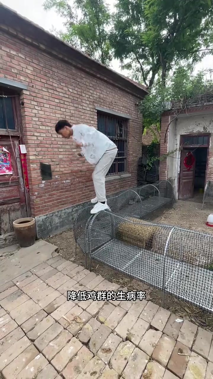 折叠鸡笼,便携实用家禽养殖工具