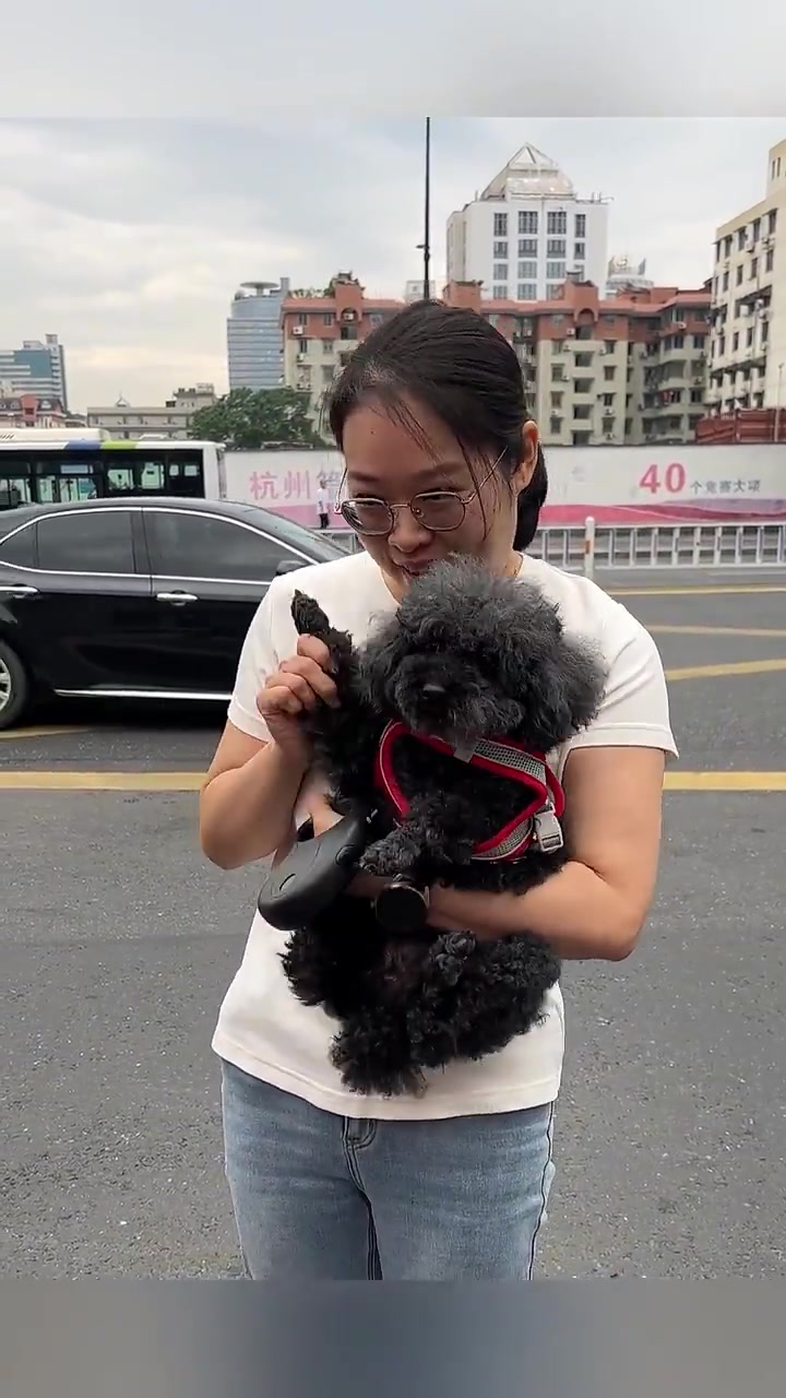 有骑车一个多小时来的爷爷,有旗袍妈妈们,还有陪伴多年的爱宠!高考首日的送考队伍太特别