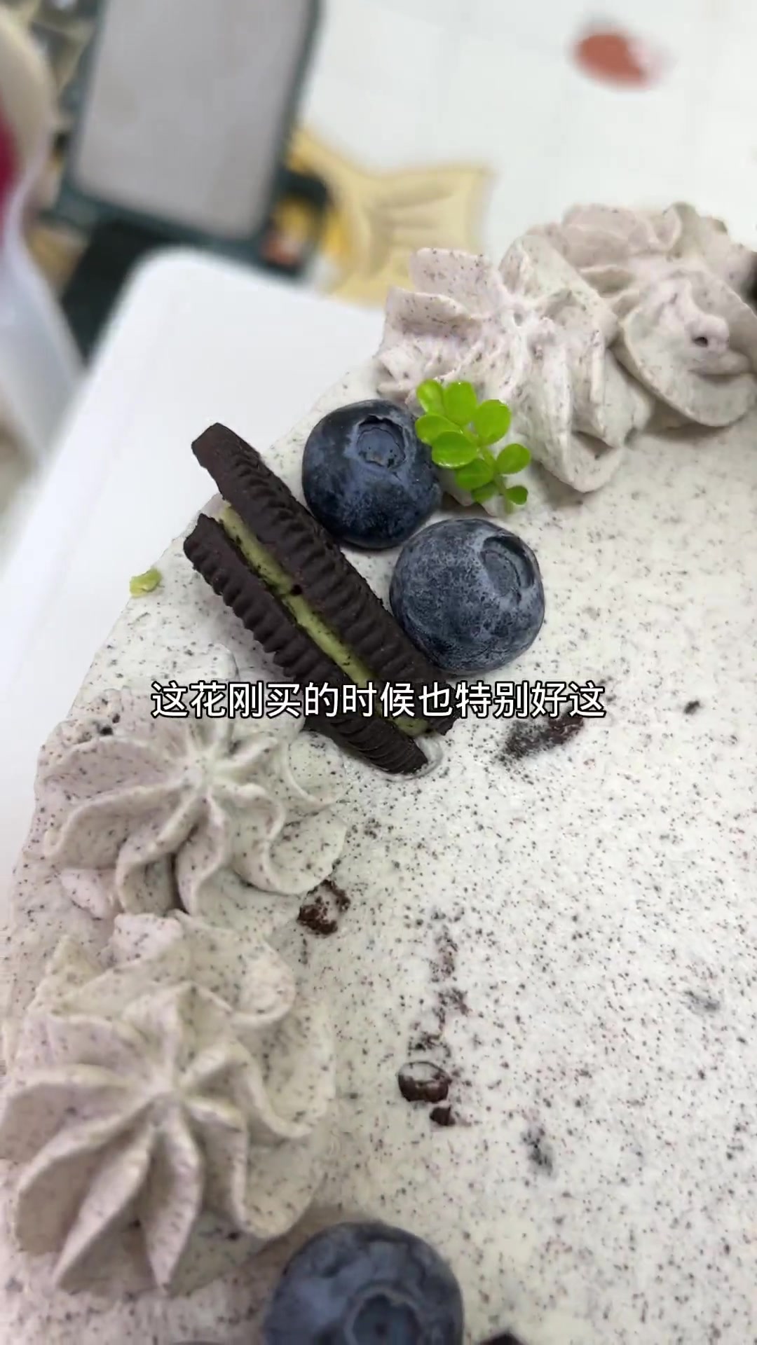 做蛋糕常用清香木、薄荷、千叶吊兰,今只收到薄荷