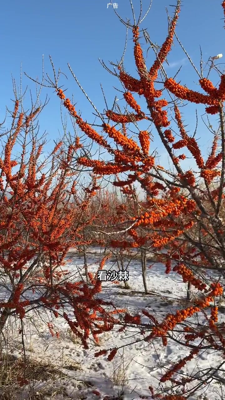 谁是你心里的宝贝?