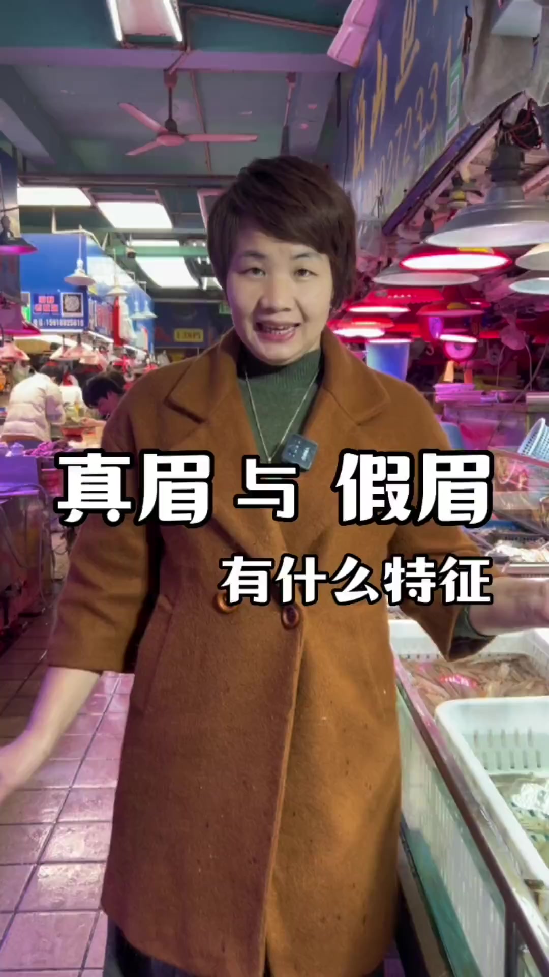 鲈眉鱼与棉斑鱼有什么区别