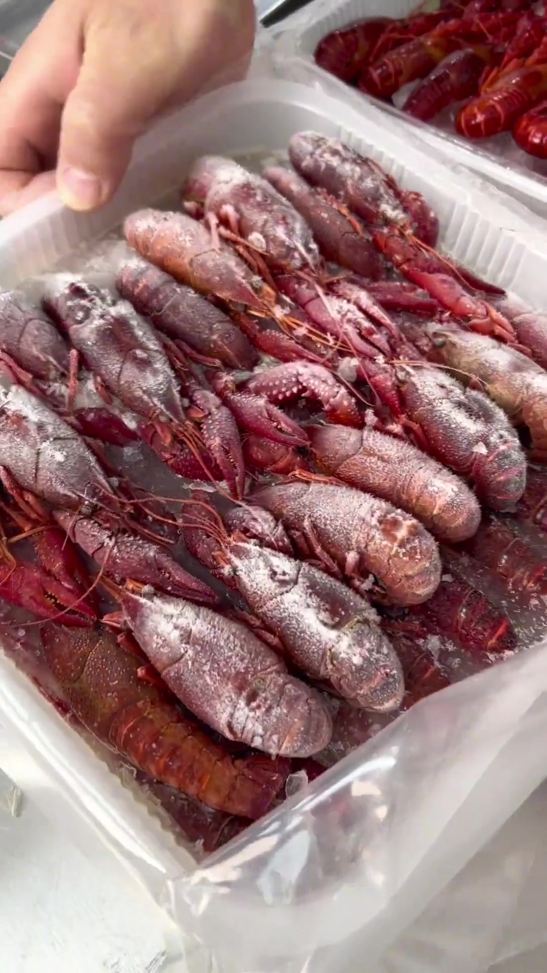 龙虾店冬季能用冻虾替代活虾吗？现场给你解答！