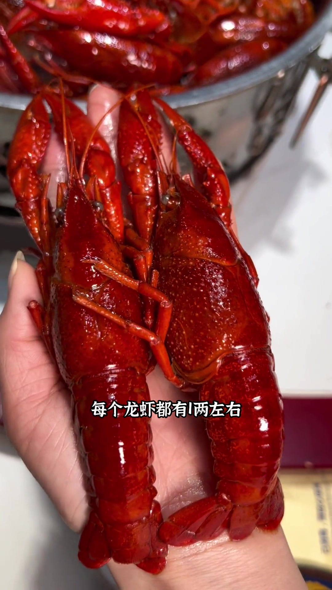 川沙羊伙计烤全羊小龙虾一网打尽无视任何选择困难症每个虾都腮白肉肥