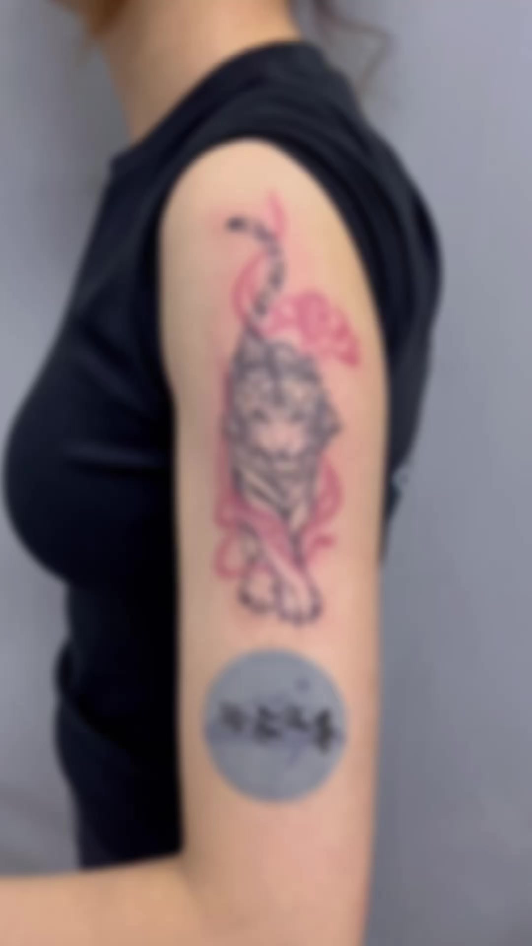 小老虎纹身#女生纹身#苏州纹身#吴江纹身