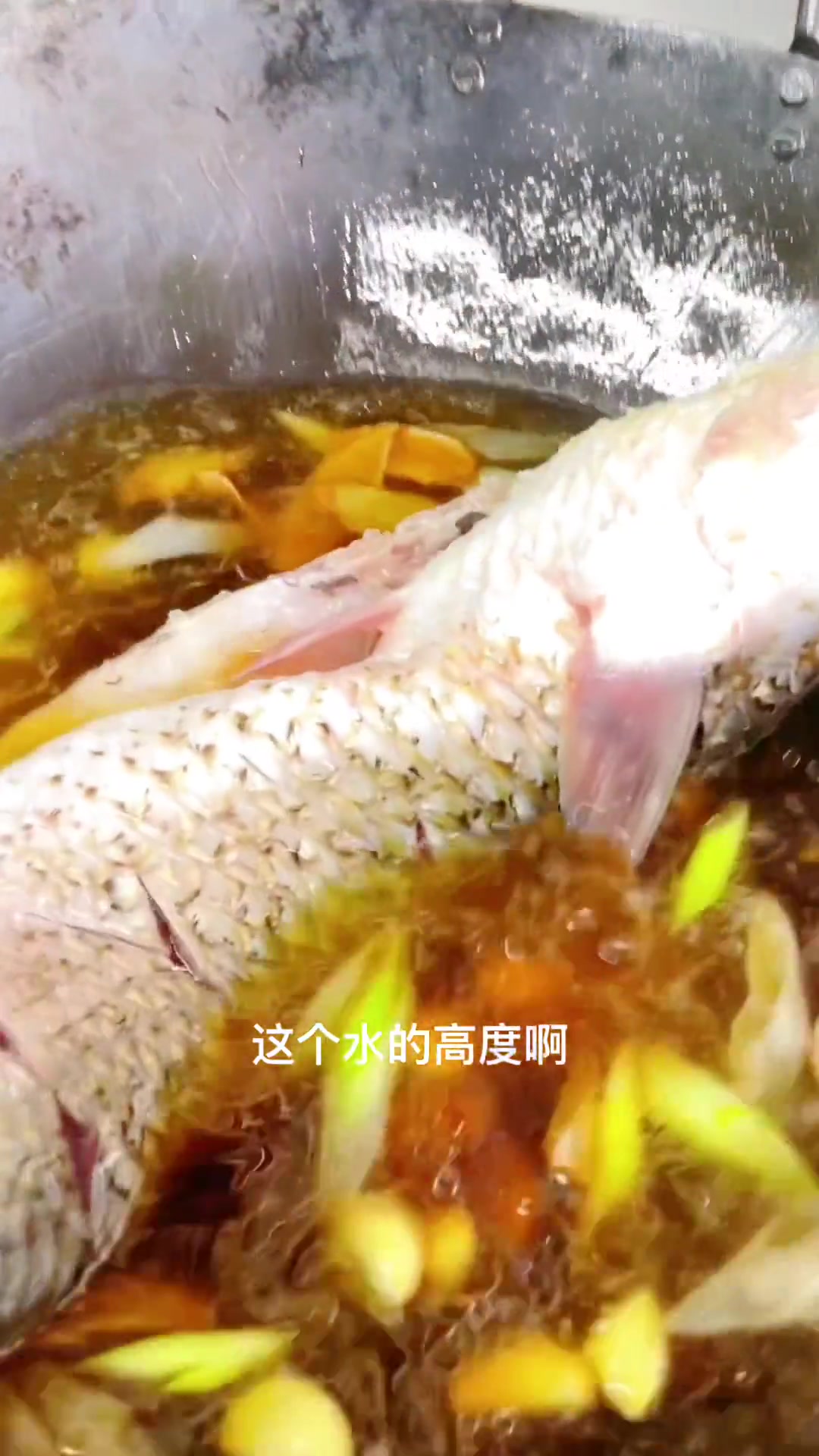 春天梭鱼味美，快学做给家人品尝！