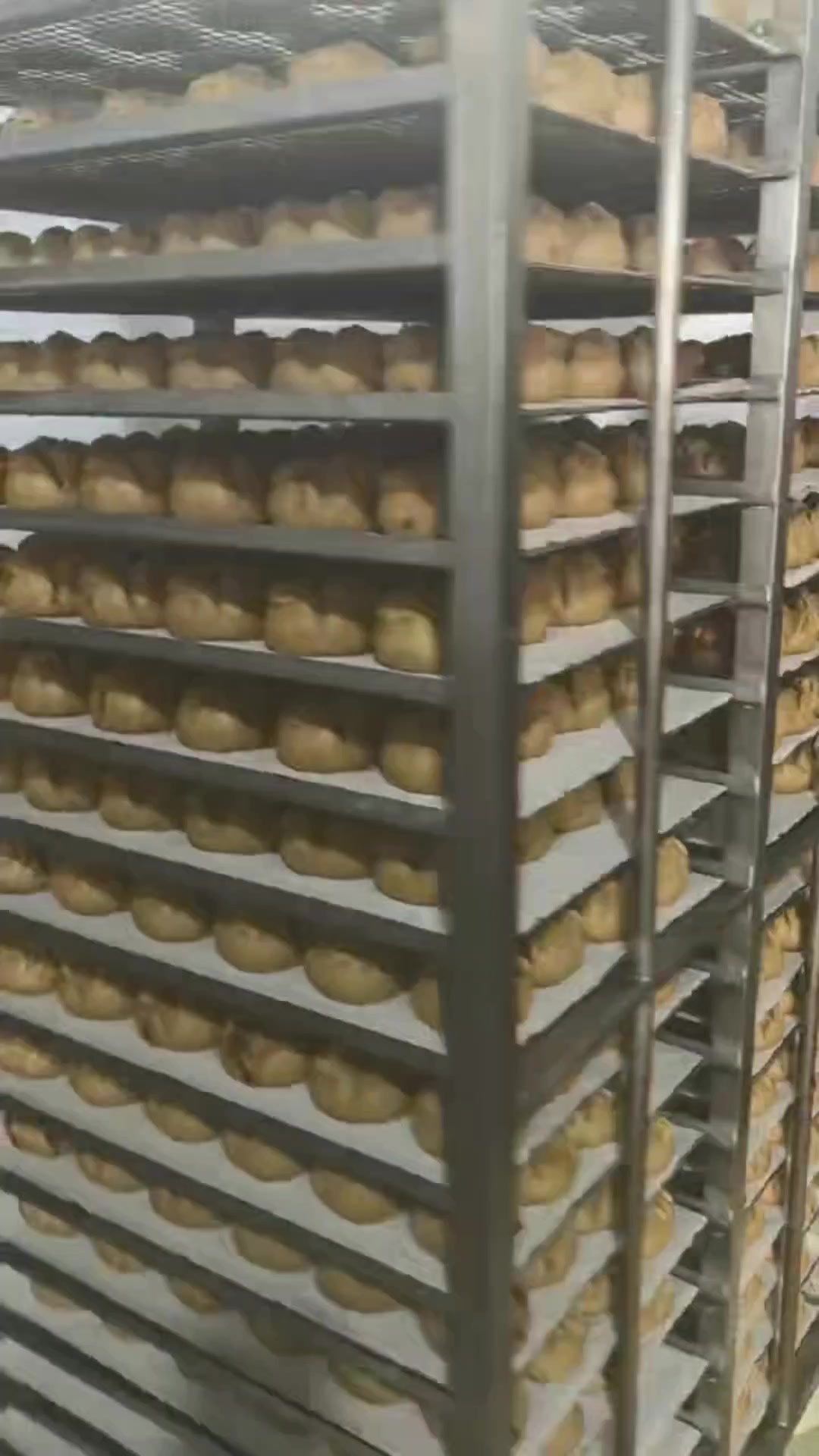 商用馒头蒸房大型双单门不锈钢开花馒头蒸箱食品蒸柜定制