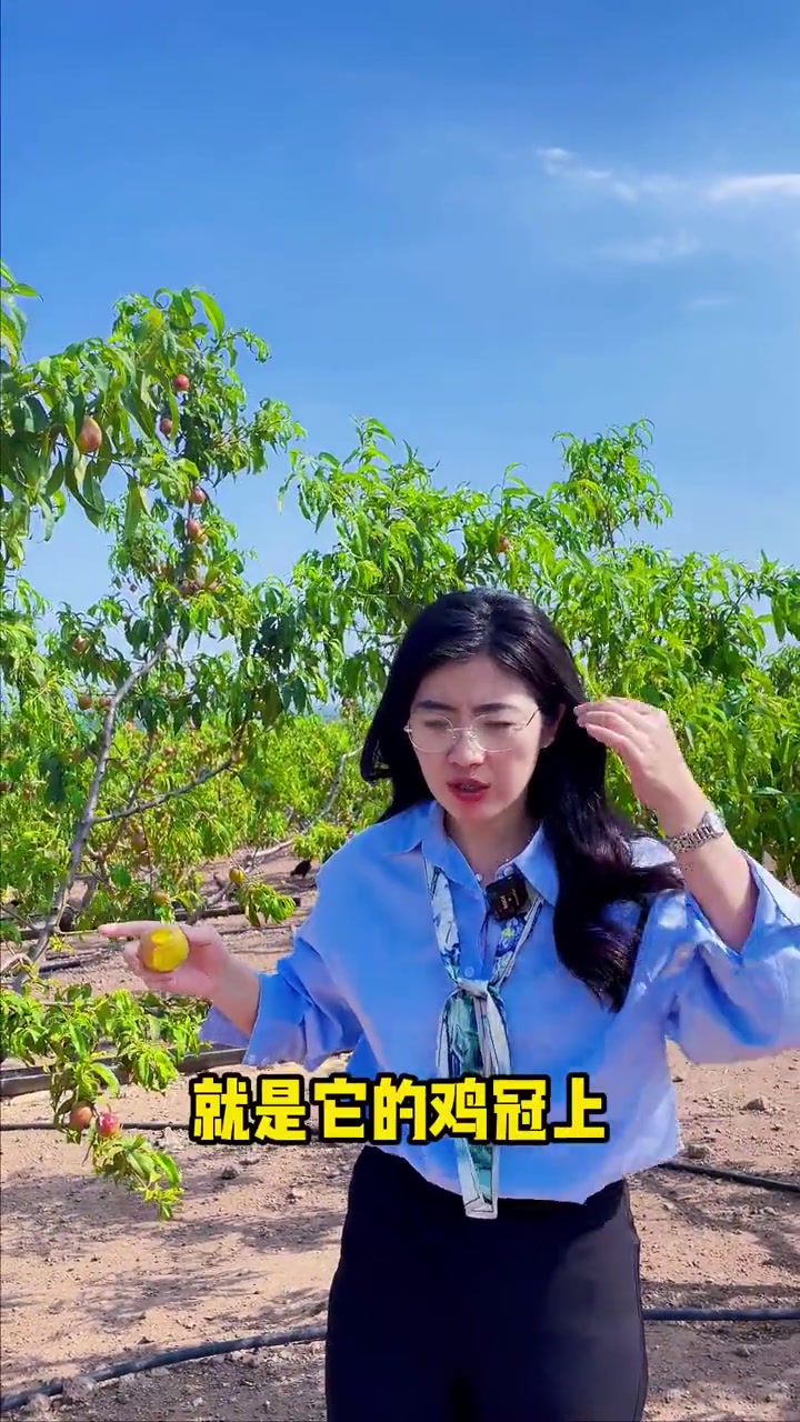 鸡冠起痘痘是什么原因,怎么解决