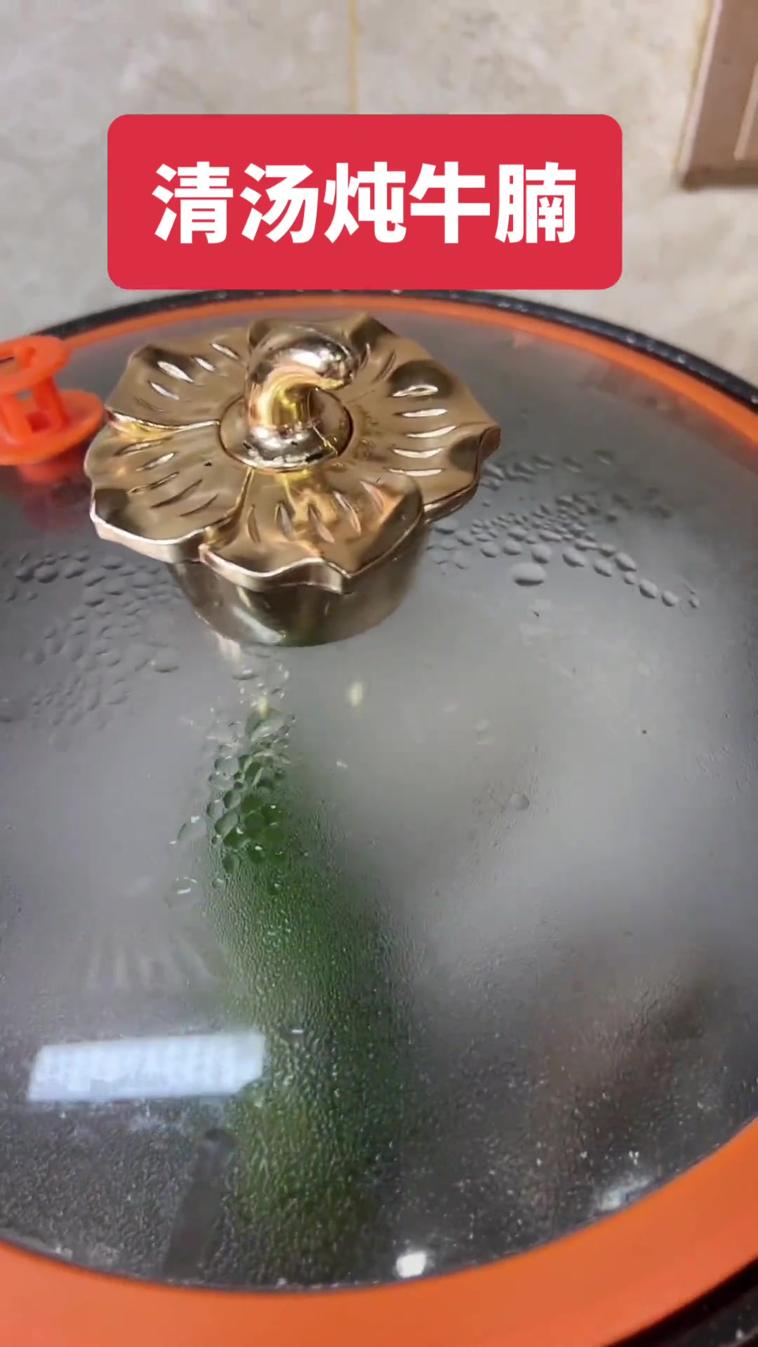 暑热宜清补，没胃口就换花样！清汤牛腩好吃不腻味正！