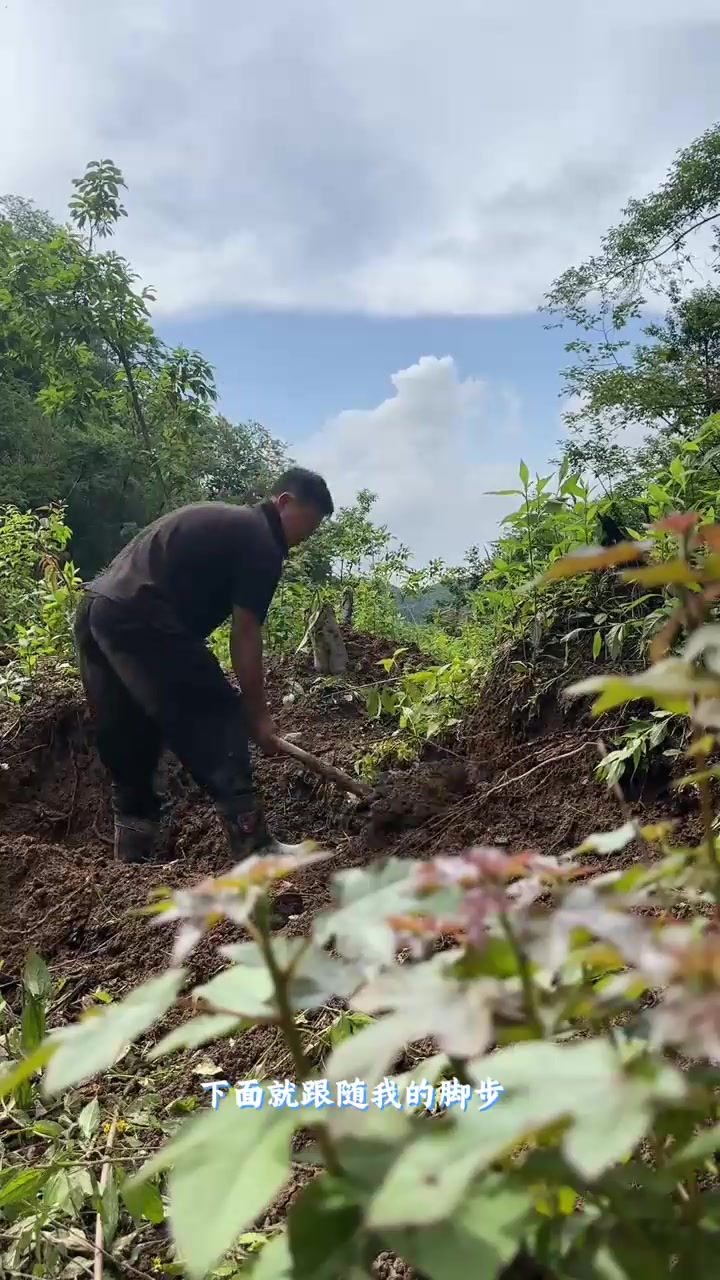 这样的山泉水用来洗澡不养几条鱼,好像说不过去今天抓鱼养鱼