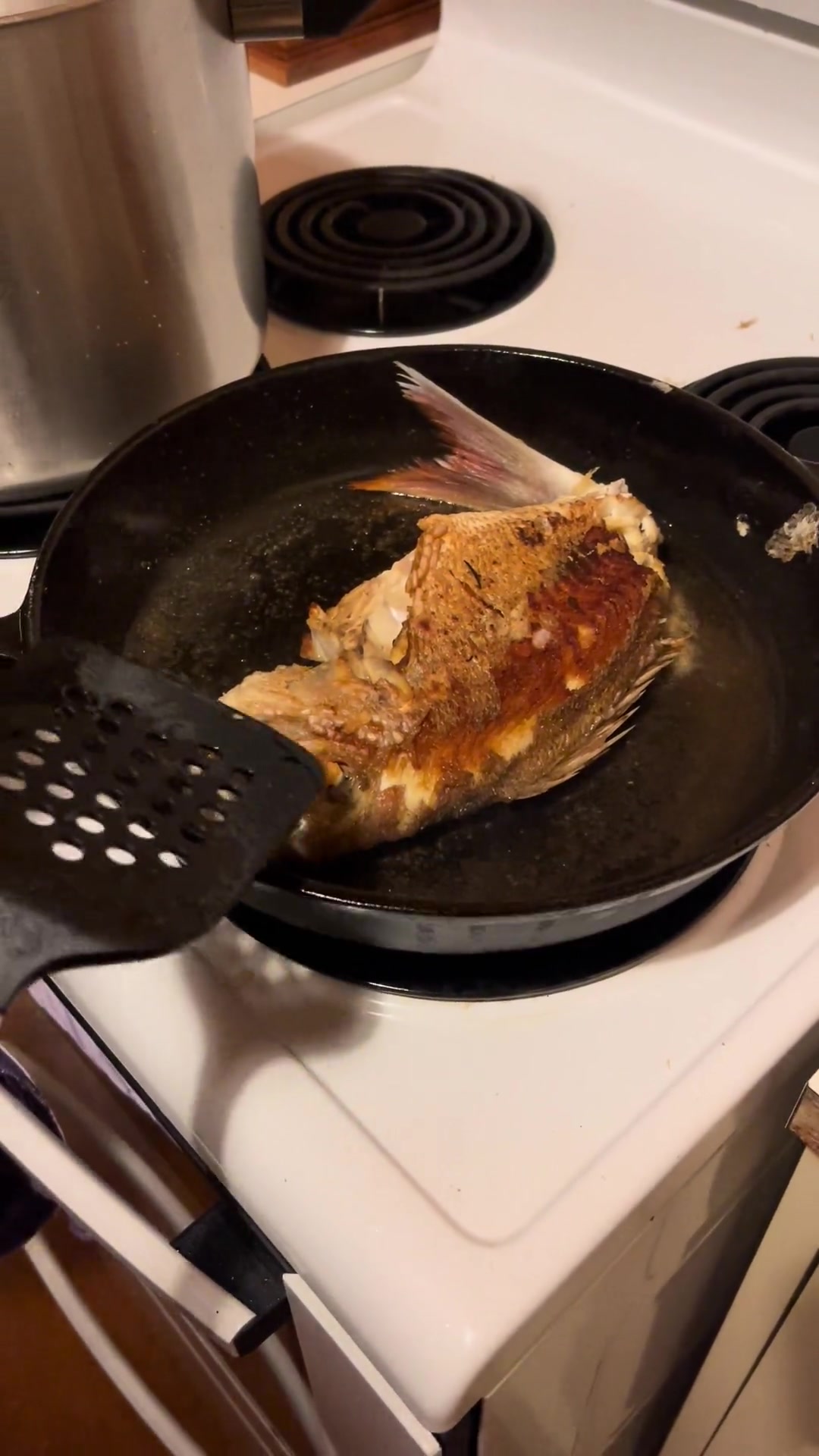 分享一个在家就能轻松煎鱼的好办法,盐煎野生真鲷鱼