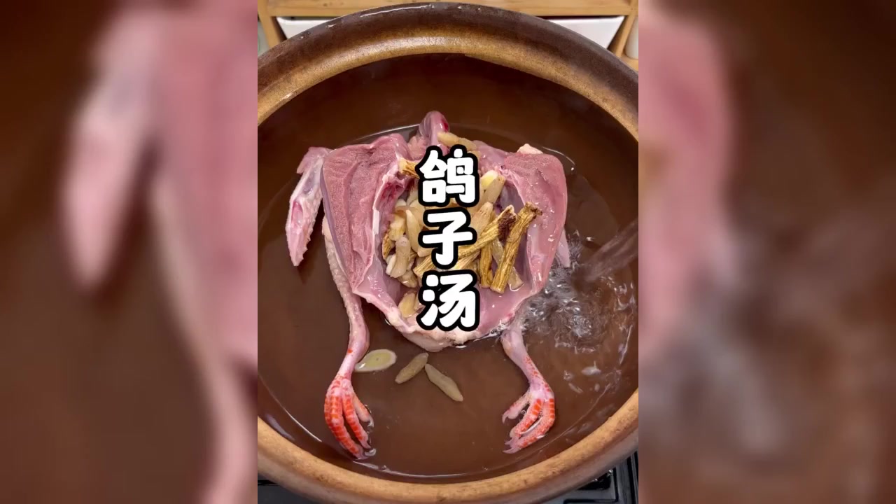 广东靓汤鸽子汤食疗养生