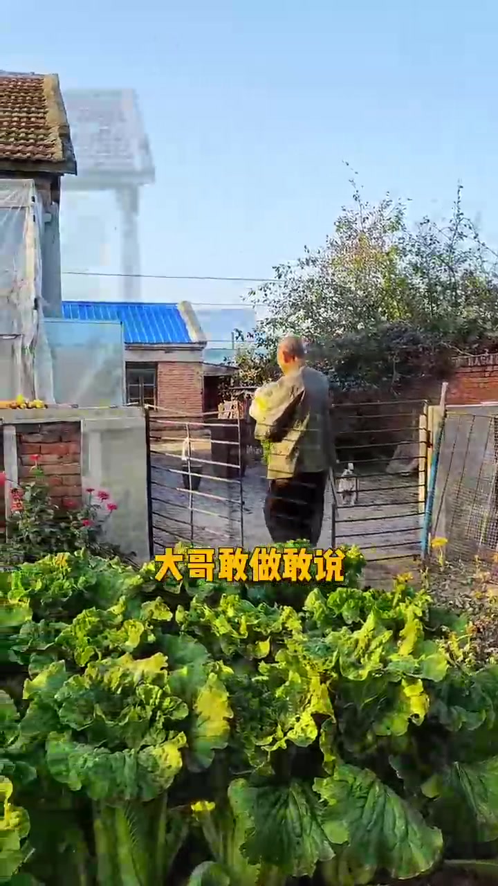 大哥说这酸菜缸真重啊